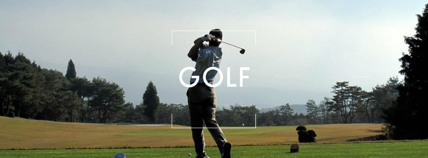 Golf Cover